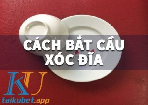 cach-bat-cau-xoc-dia