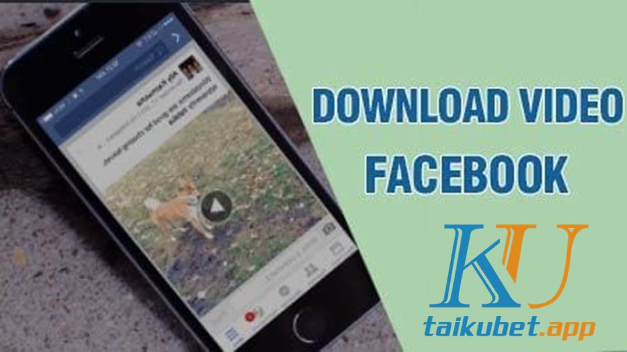 tai-video-fb