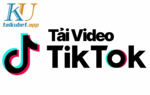 cach-tai-video-tren-tiktok-ve-dien-thoai