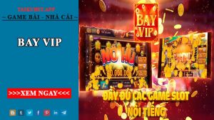 Bay vip - Khám phá phiên bản siêu update mới nhất 2022