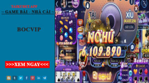 Bật mí tải Bocvip nhận ngay 100k khởi nghiệp quay hủ uy tín