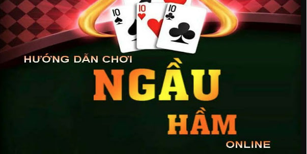 ngau-ham-3d